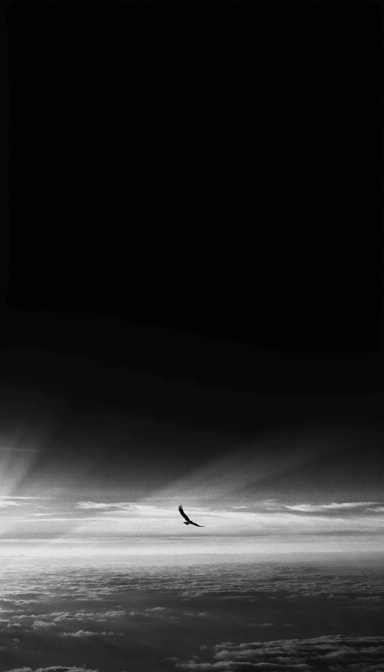 A lone eagle soaring above a sea of clouds